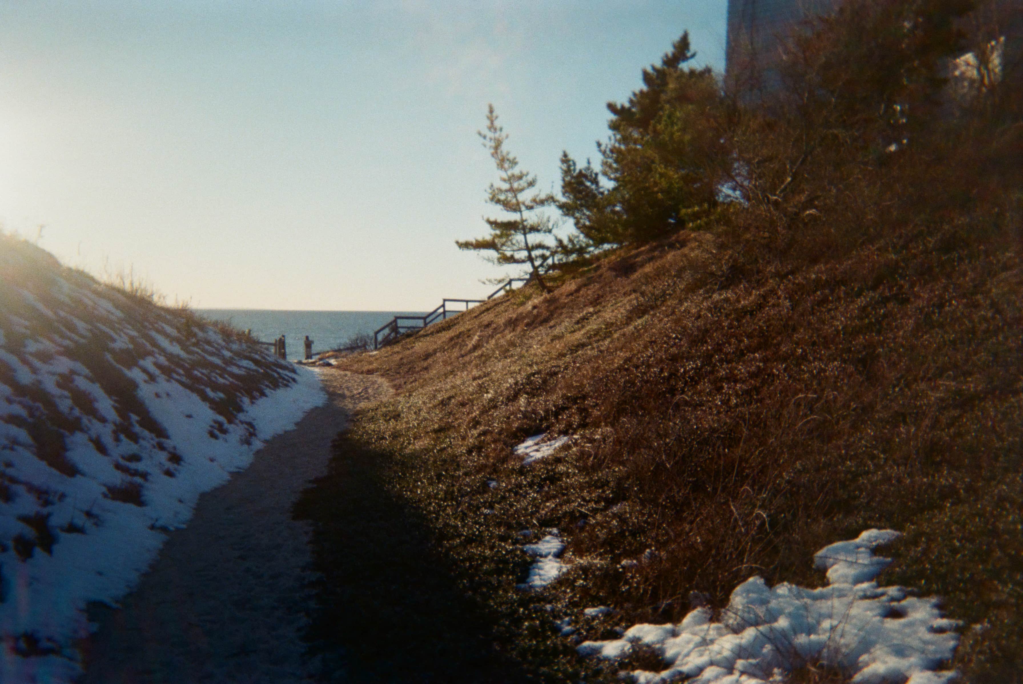A path leading to a body of water.