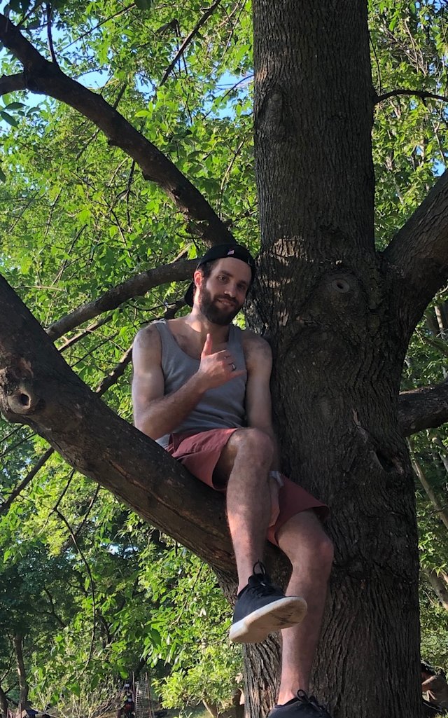 Dan sitting in a tree in Prospect Park.
