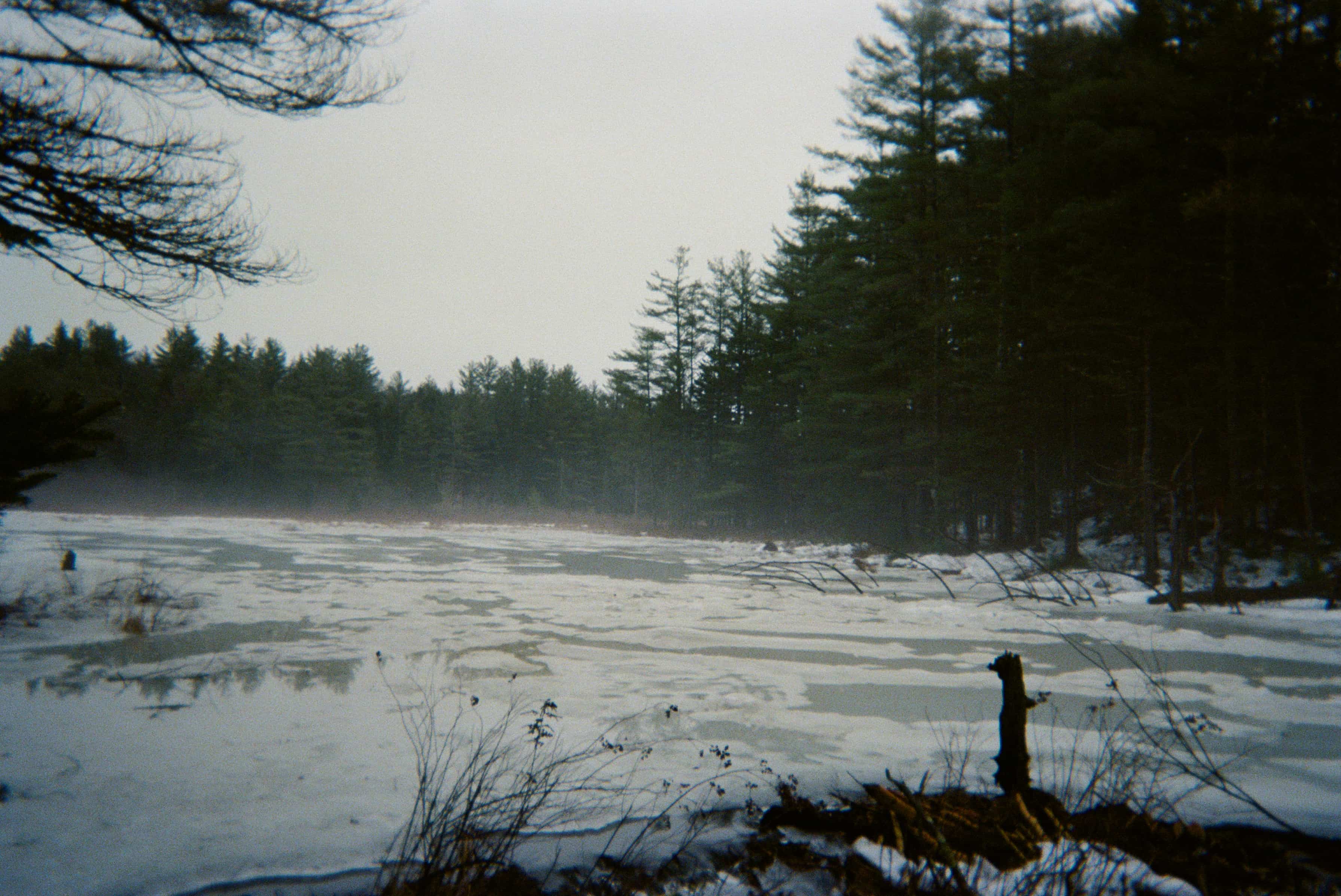 A frozen lake with trees in the background.