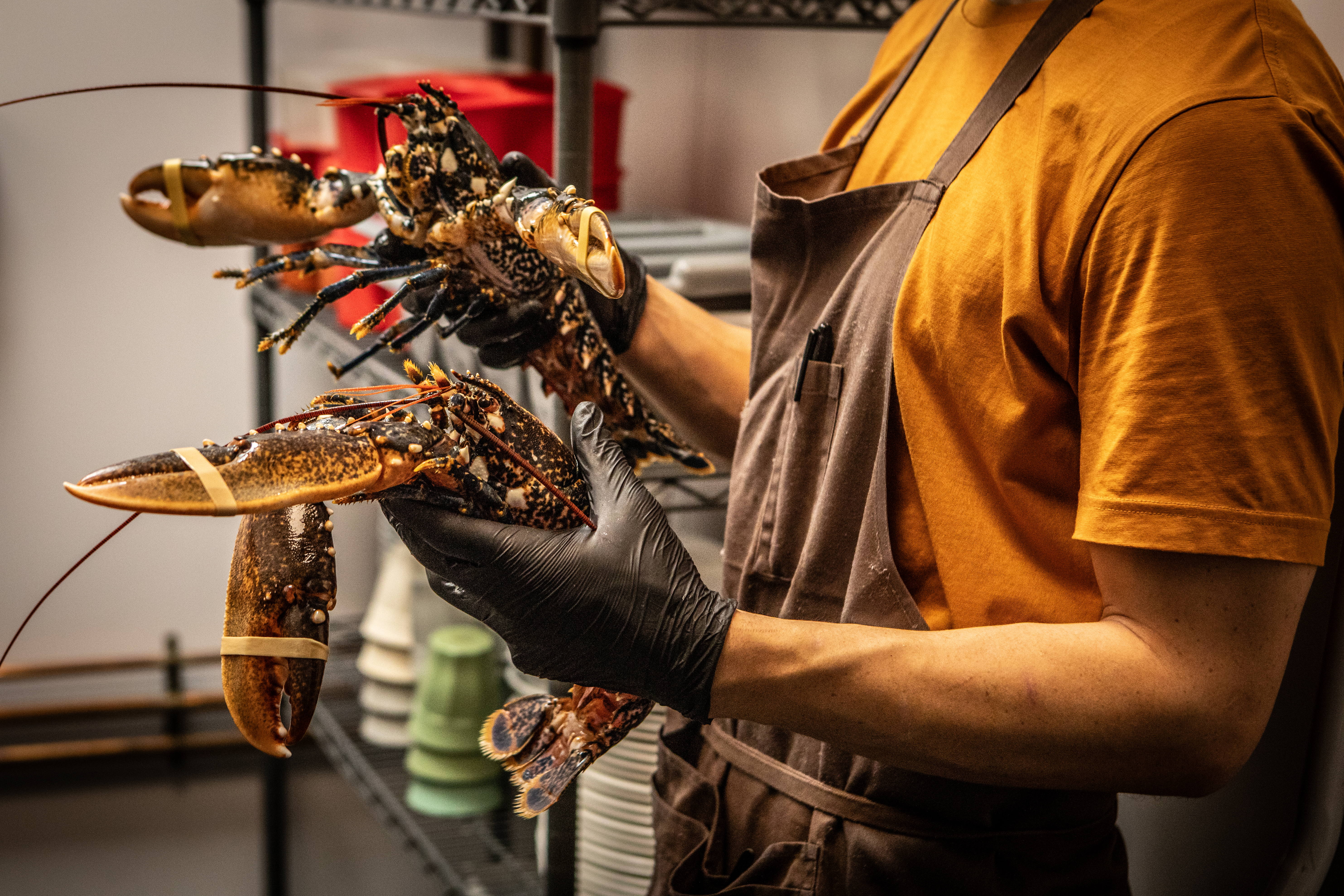 AI Use in Australian Restaurants kitchen food prep