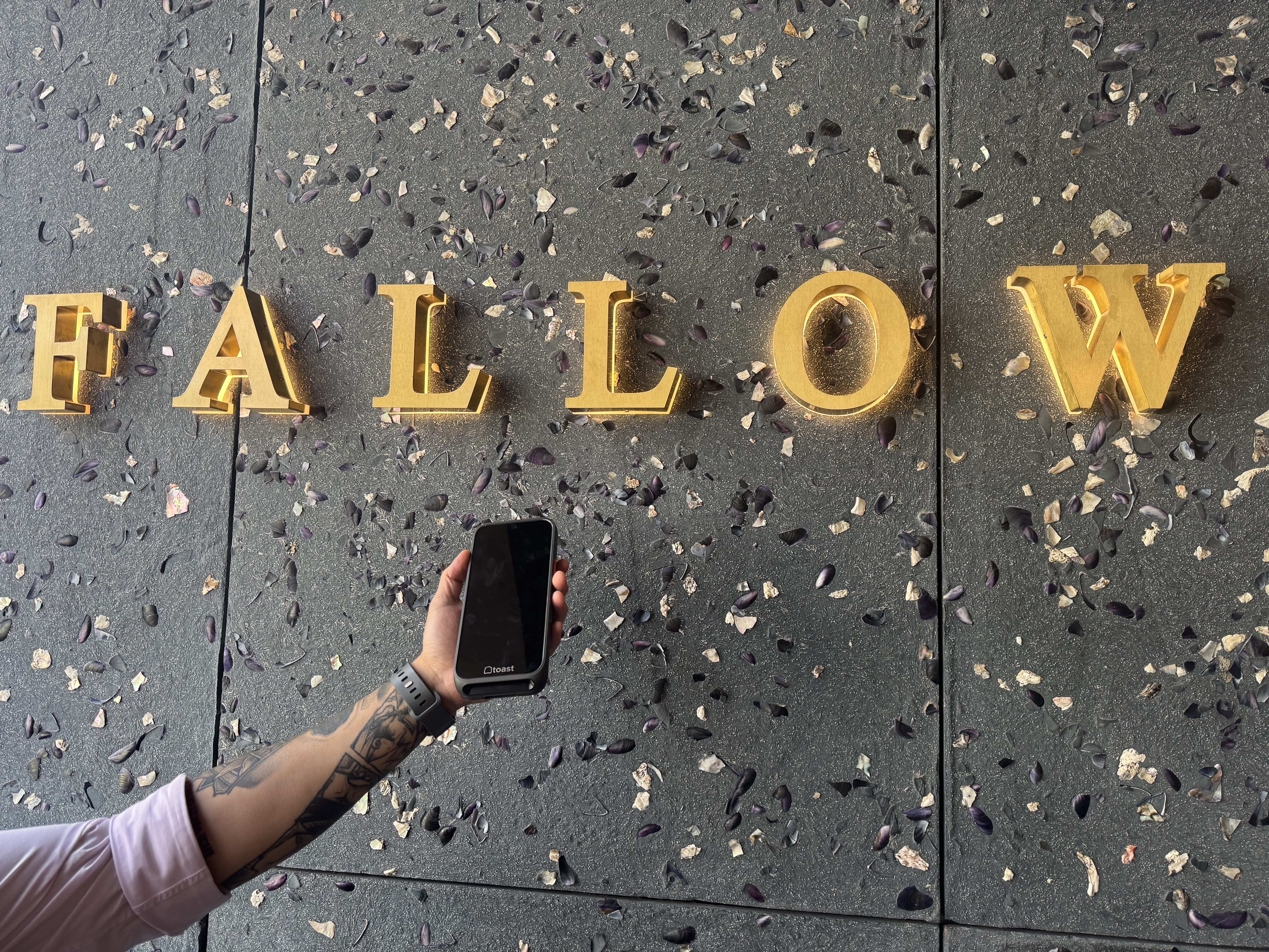 Fallow header image