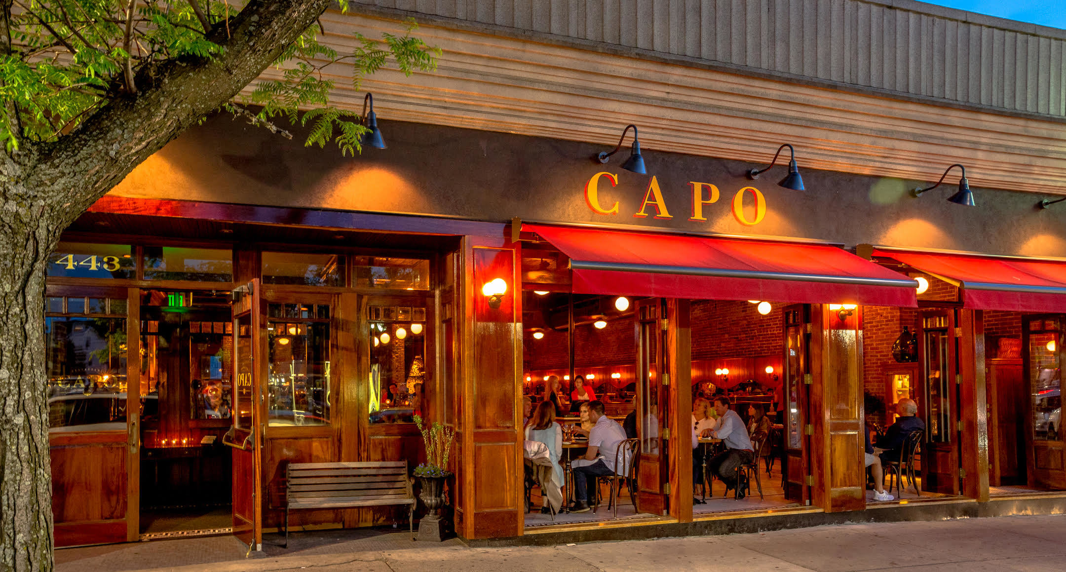 capo-1.jpg