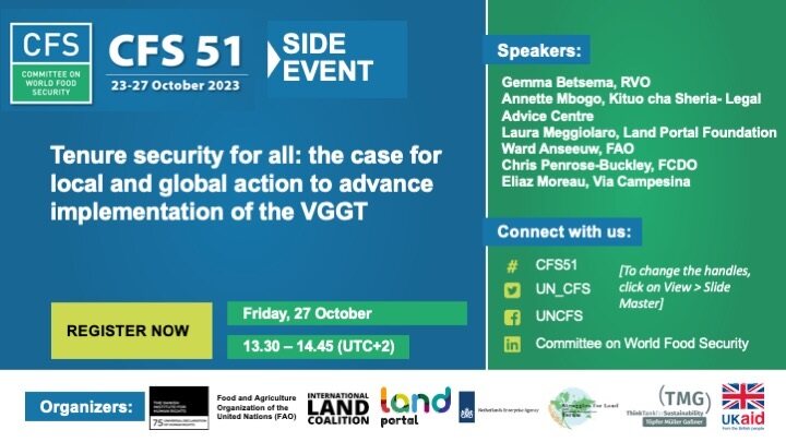 Tenure security for all: the case for local and global action to advance implementation of the VGGT