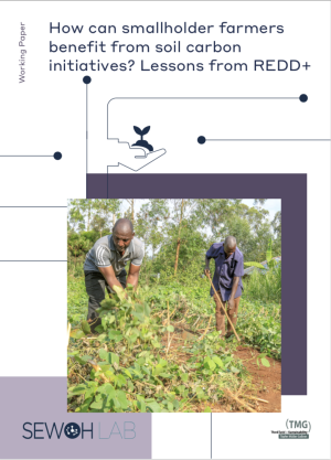How can smallholder farmers benefit from soil carbon initiatives? Lessons from REDD+