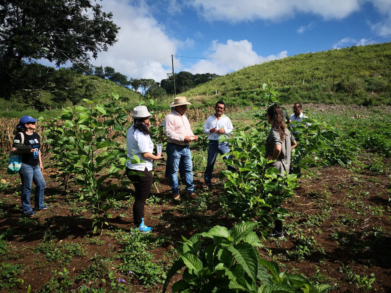 Nurturing nature: Identifying Ecosystem-based Adaptation (EbA) initiatives to build social and political support for EbA upscaling in Guatemala