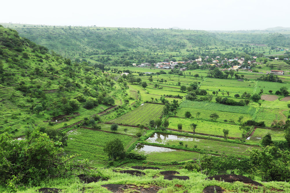 Transforming food systems with an EbA approach for resilience