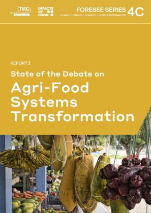 FORESEE (4C) Report 2: State of the Debate on Agri-Food Systems Transformation