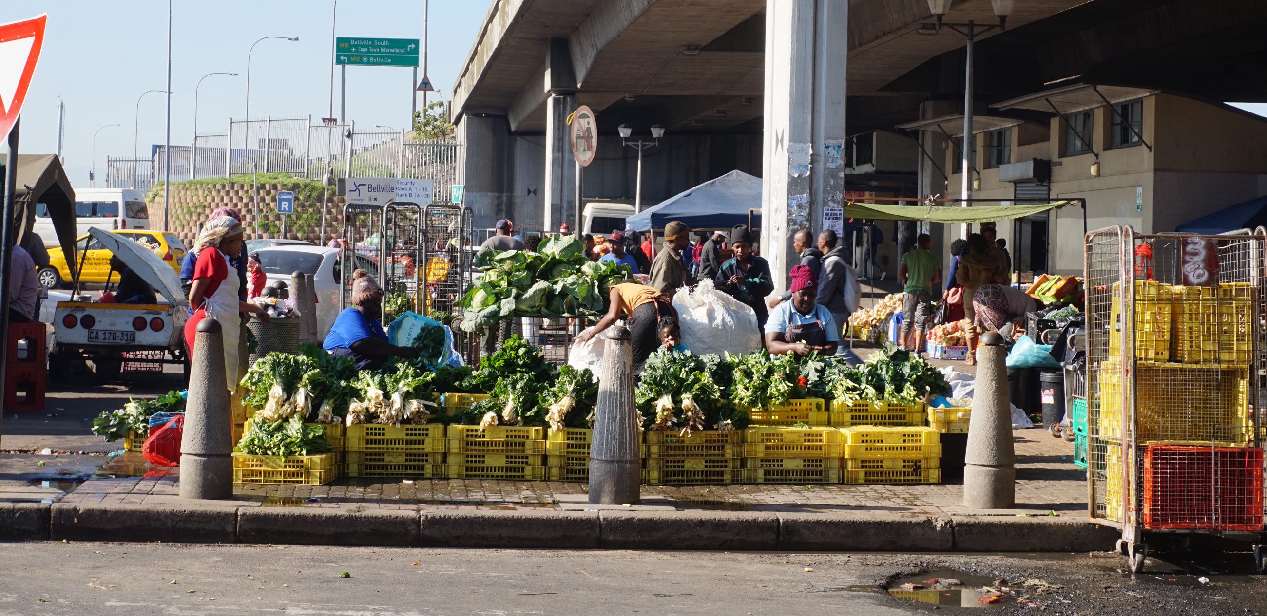 From scoping to action research: Implementation of five pathways for more resilient and inclusive urban food systems in Cape Town and Nairobi    