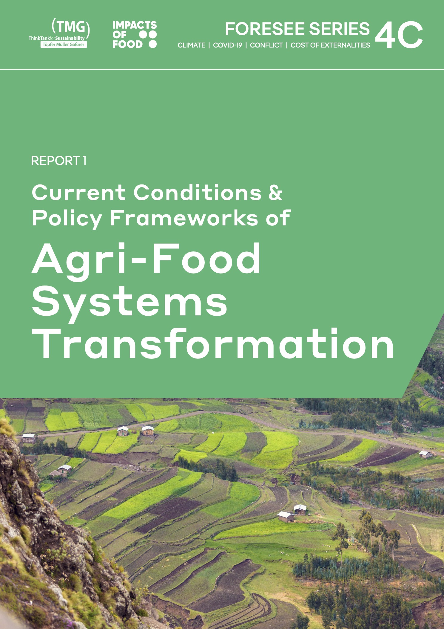 FORESEE (4C) Report 1: Current Conditions and Policy Frameworks of Agri-Food Systems Transformation