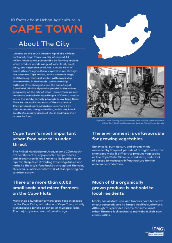 Cape Town’s Food and Nutrition Crisis: Crafting systemic responses to systemic challenges
