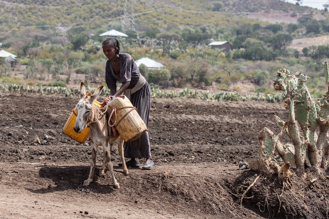 Unlocking the potential of the Voluntary Guidelines on Land Tenure in food system transformation