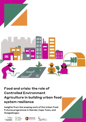 Food and crisis: the role of Controlled Environment Agriculture in building urban food system resilience