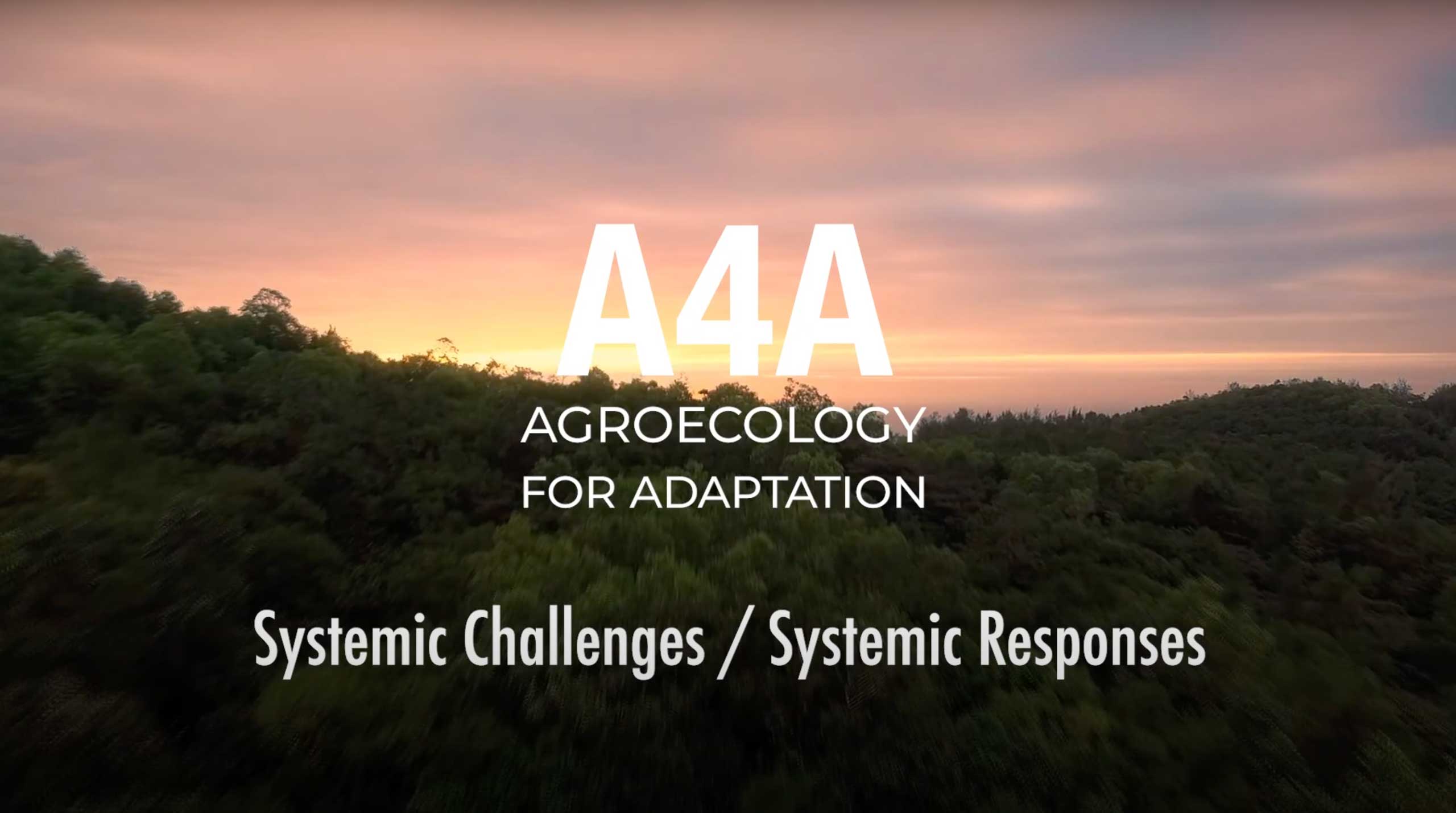 Agroecology for Adaptation - Systemic Challenges/Systemic Responses