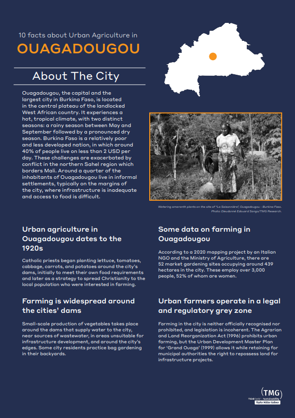 Ten Facts about Urban Agriculture in Ouagadougou