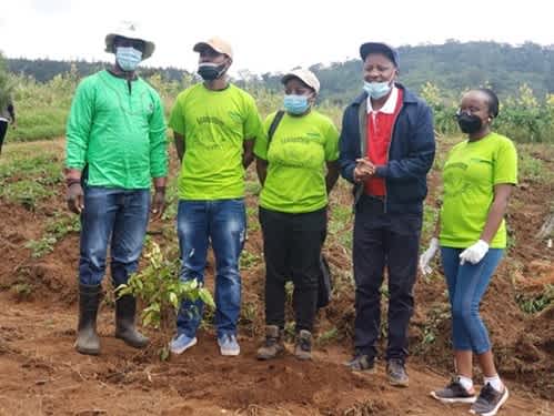 KENVO Director Nelson M. Muiru (far left) leads an ecosystem restoration initiative at Kereita Forest and joined by partners and the Kiambu Government CEC for Water, Environment and Natural Resources David Kuria (in red shirt). 