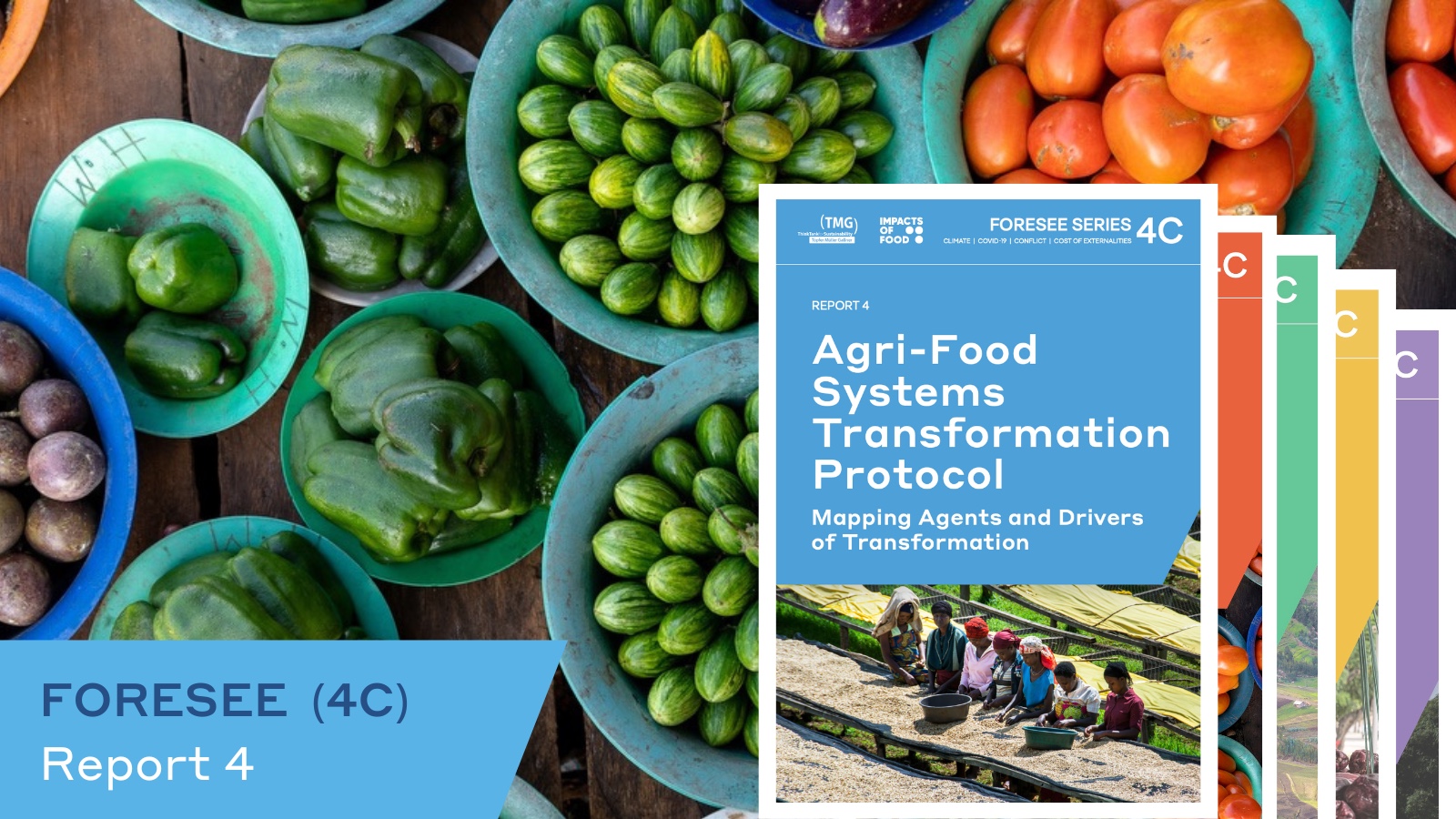 New Report Unveils Key Drivers and Agents for Global Agri-food Systems Transformation