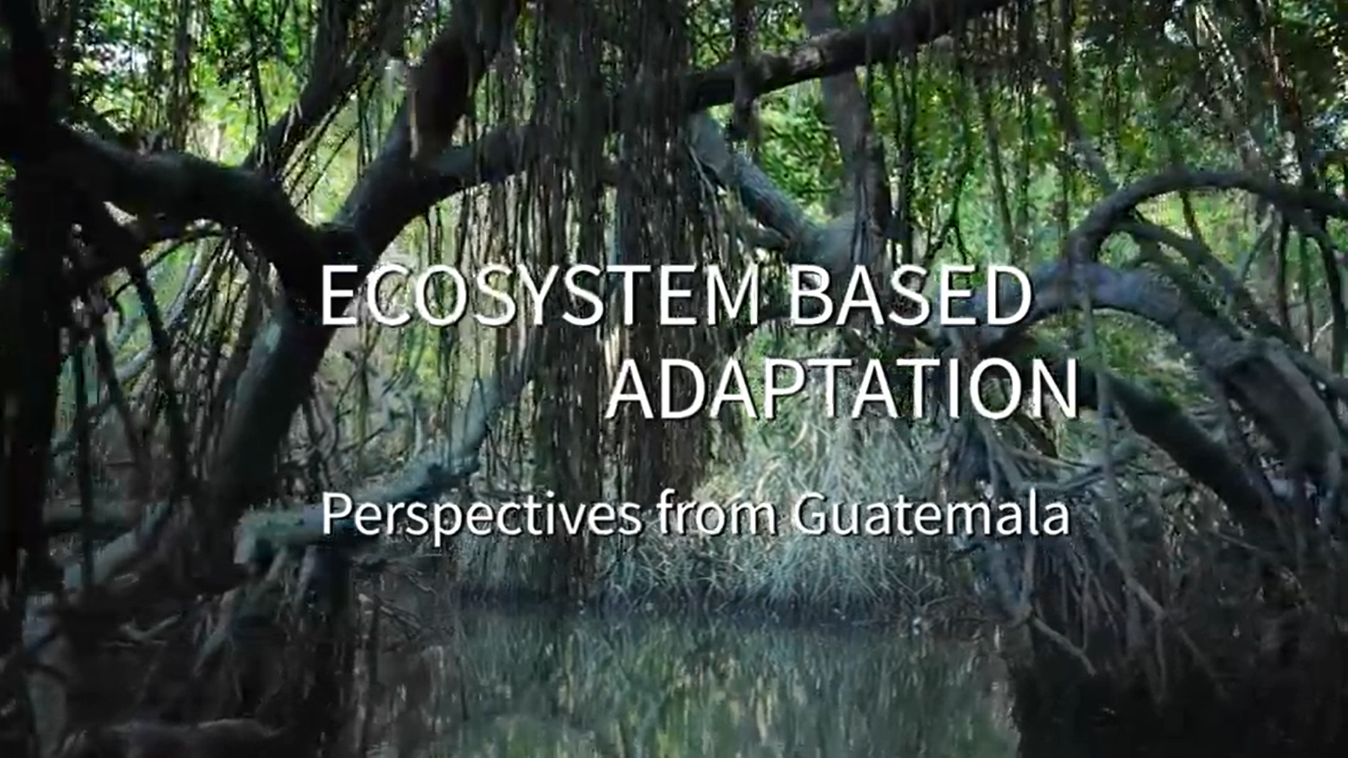 Ecosystem-based Adaptation: Perspectives from Guatemala