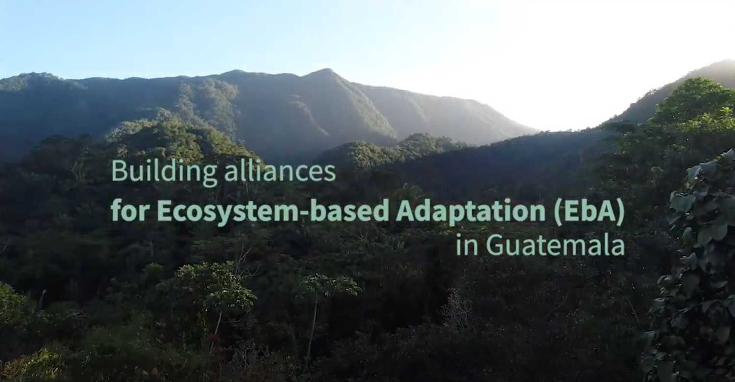 Building alliances for Ecosystem-based Adaptation (EbA) in Guatemala