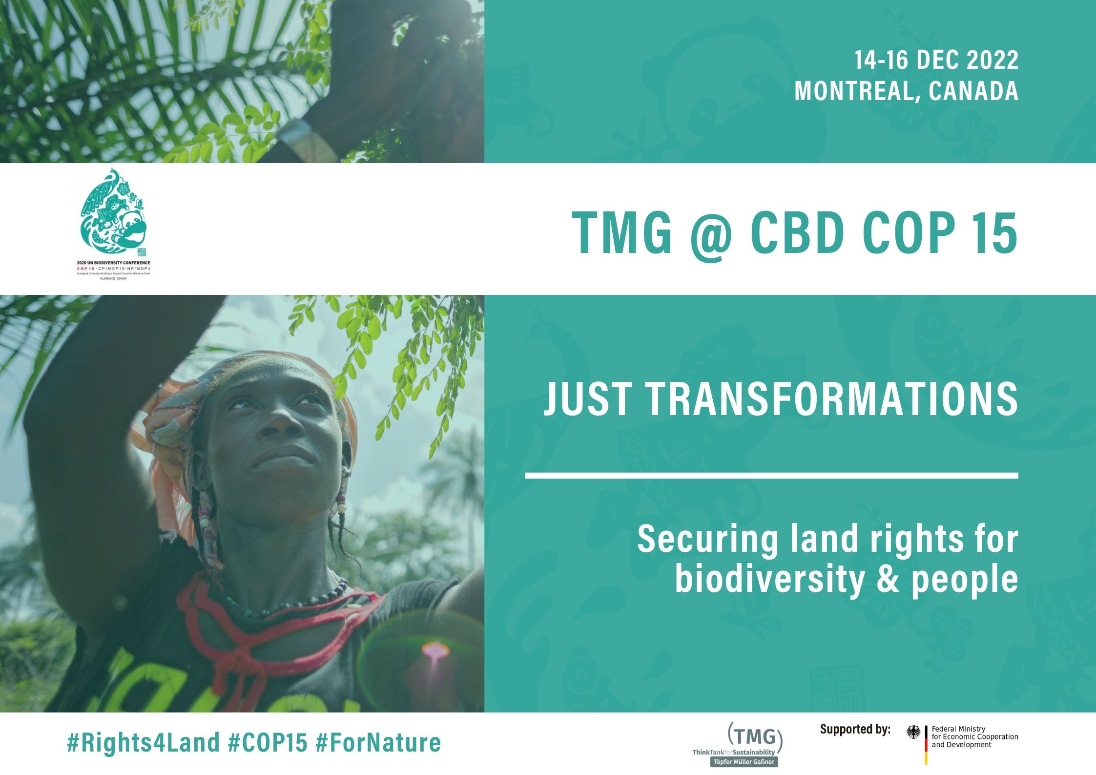 Linking biodiversity conservation to human rights: A much-needed conversation at CBD 15