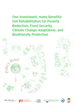 One Investment, many Benefits: Soil Rehabilitation for Poverty Reduction, Food Security, Climate Change Adaptation, and Biodiversity Protection