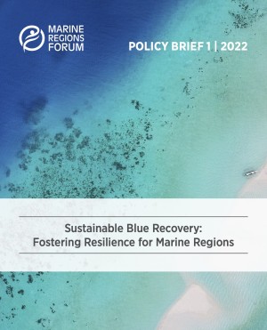 Sustainable Blue Recovery: Fostering Resilience for Marine Regions
