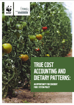 True Cost Accounting and Dietary Patterns: The Opportunity for Coherent Food System Policy (Short Version)