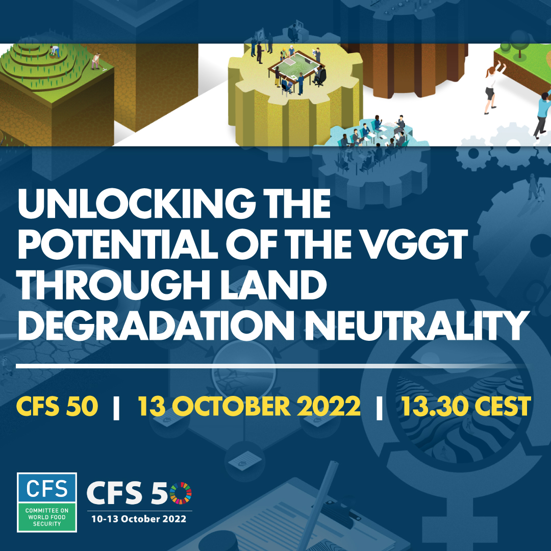 Unlocking the potential of the VGGT through Land Degradation Neutrality