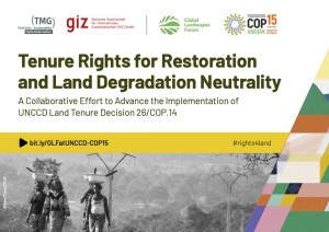 Tenure Rights for Restoration and Land Degradation Neutrality