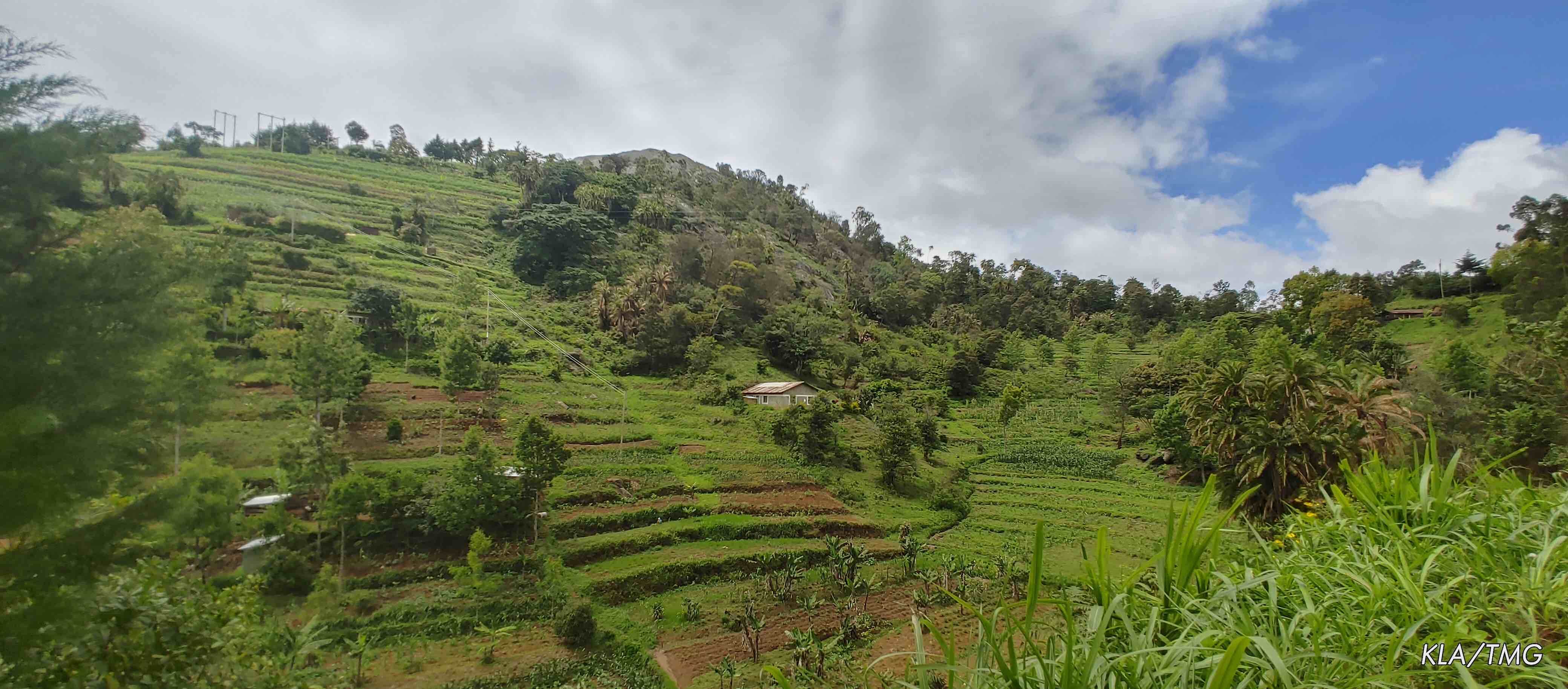  Regional Exchange Workshop on Mainstreaming Legitimate Tenure Rights in Land Restoration