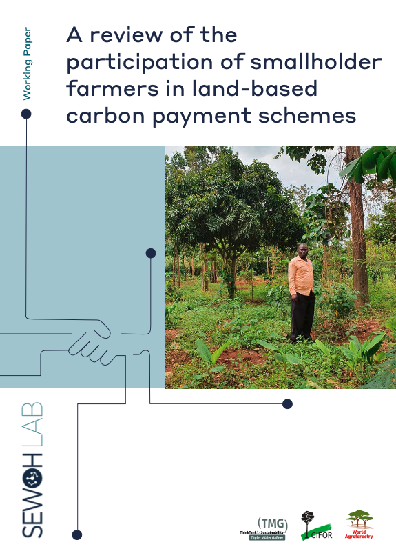 A review of the participation of smallholder farmers in land-based carbon payment schemes