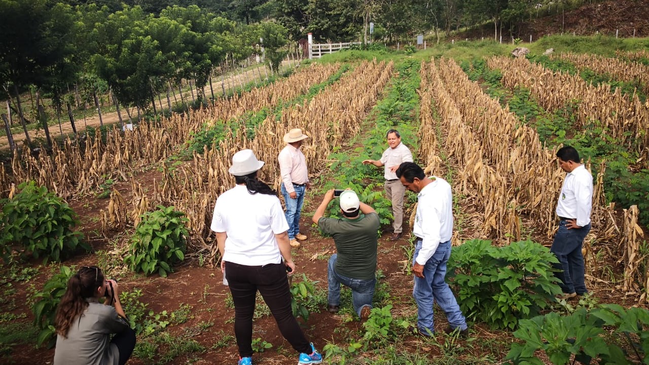 Why context matters in ecosystem resilience: Five insights from India and Guatemala