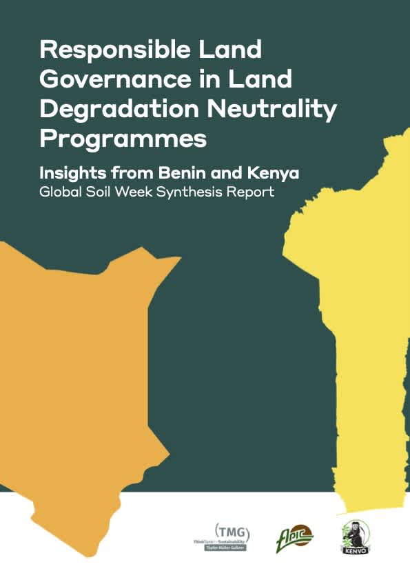 Responsible Land Governance in Land Degradation Neutrality Programmes: Insights from Benin and Kenya
