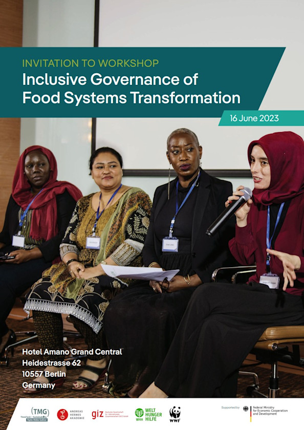 Governance of food systems transformation | TMG Think Tank for ...