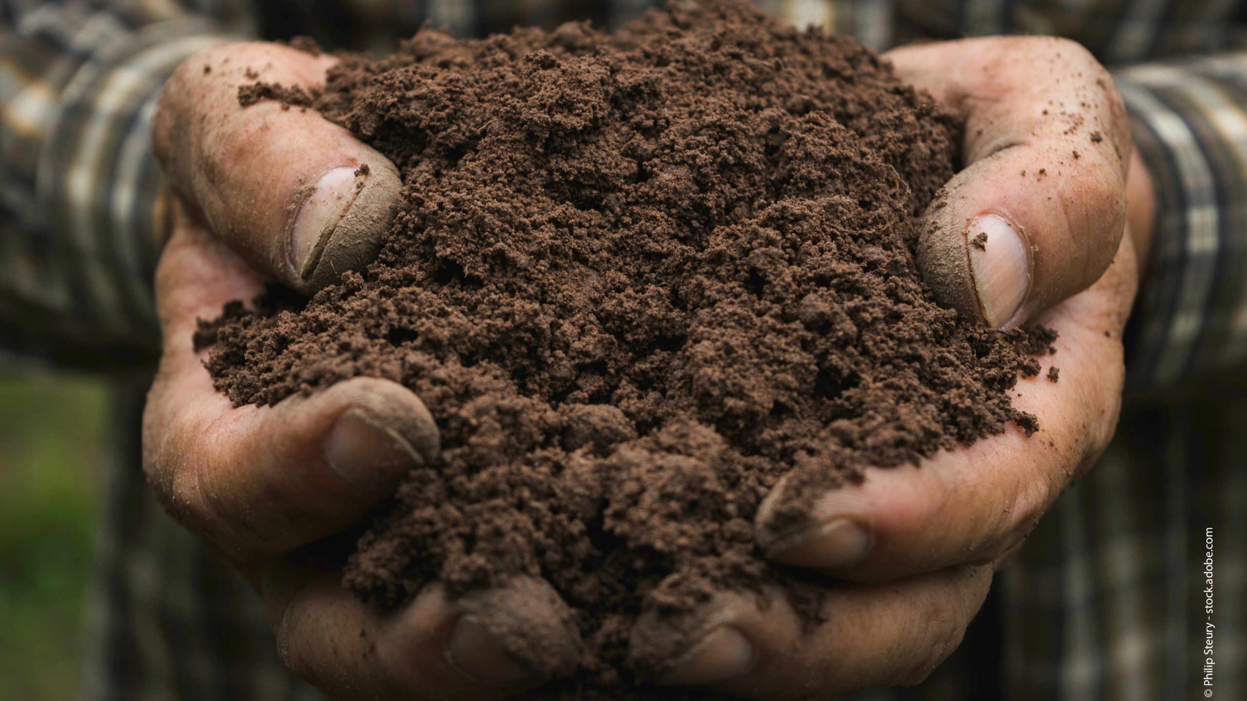 Social innovations to protect soils and empower people - new publications
