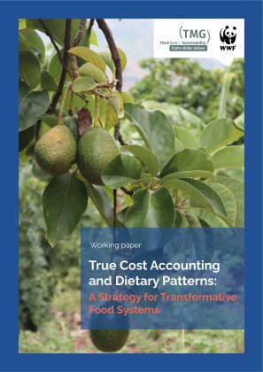 True Cost Accounting and Dietary Patterns: A Strategy for Transformative Food Systems 