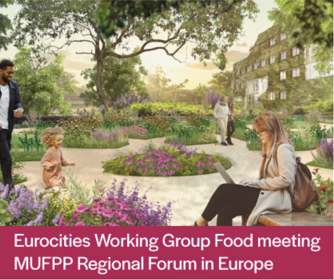 11th MUFPP Regional Forum in Europe