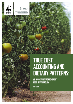 True Cost Accounting and Dietary Patterns: The Opportunity for Coherent Food System Policy (Full Report)