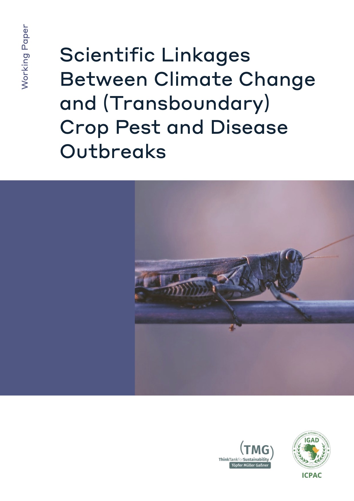 Scientific Linkages Between Climate Change and (Transboundary) Crop Pest and Disease Outbreaks