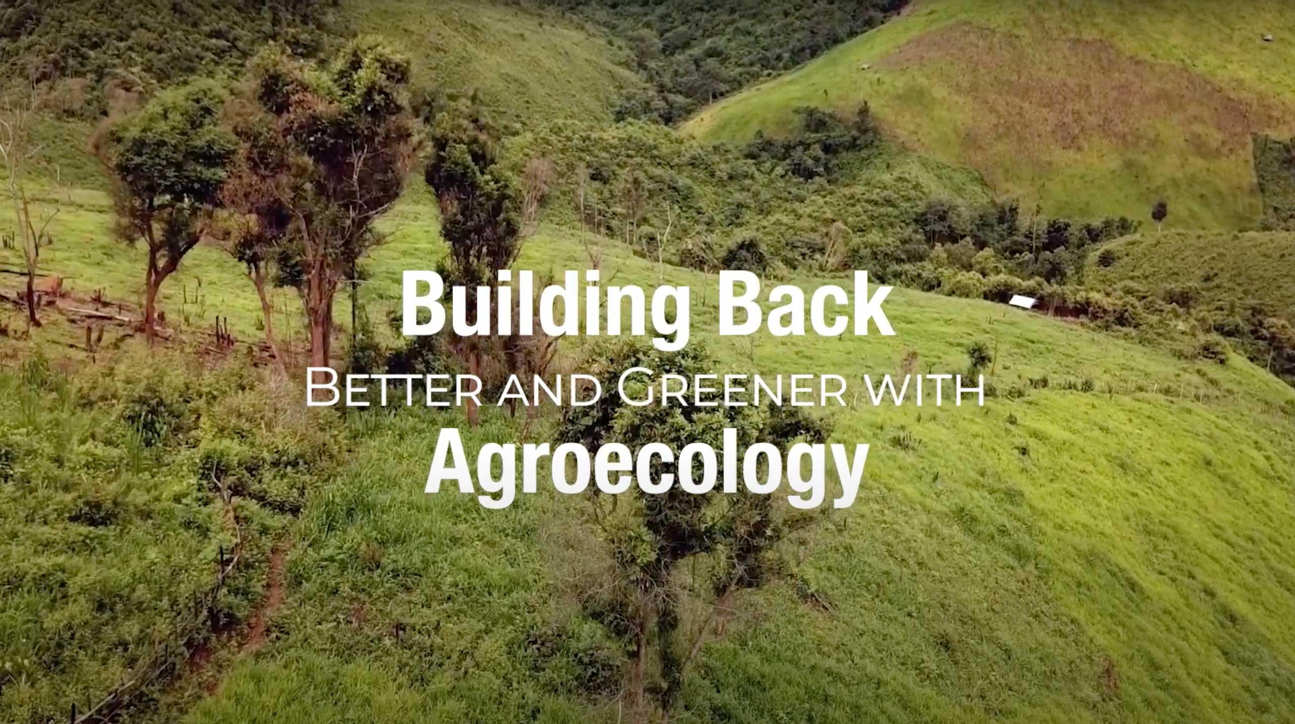Building Back Better and Greener with Agroecology