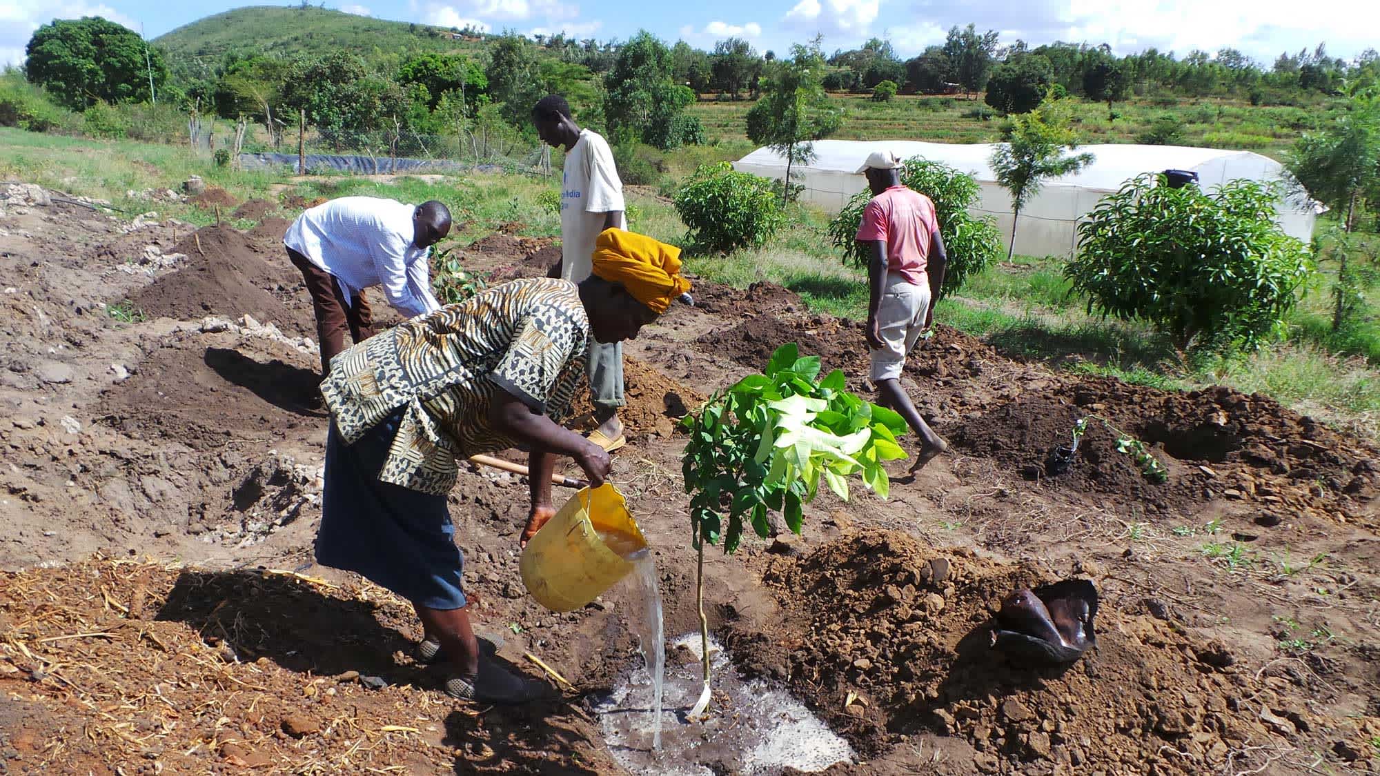 Blog Creating An Enabling Environment For Nature based Solutions To blog-creating-an-enabling-environment-for-nature-based-solutions-to