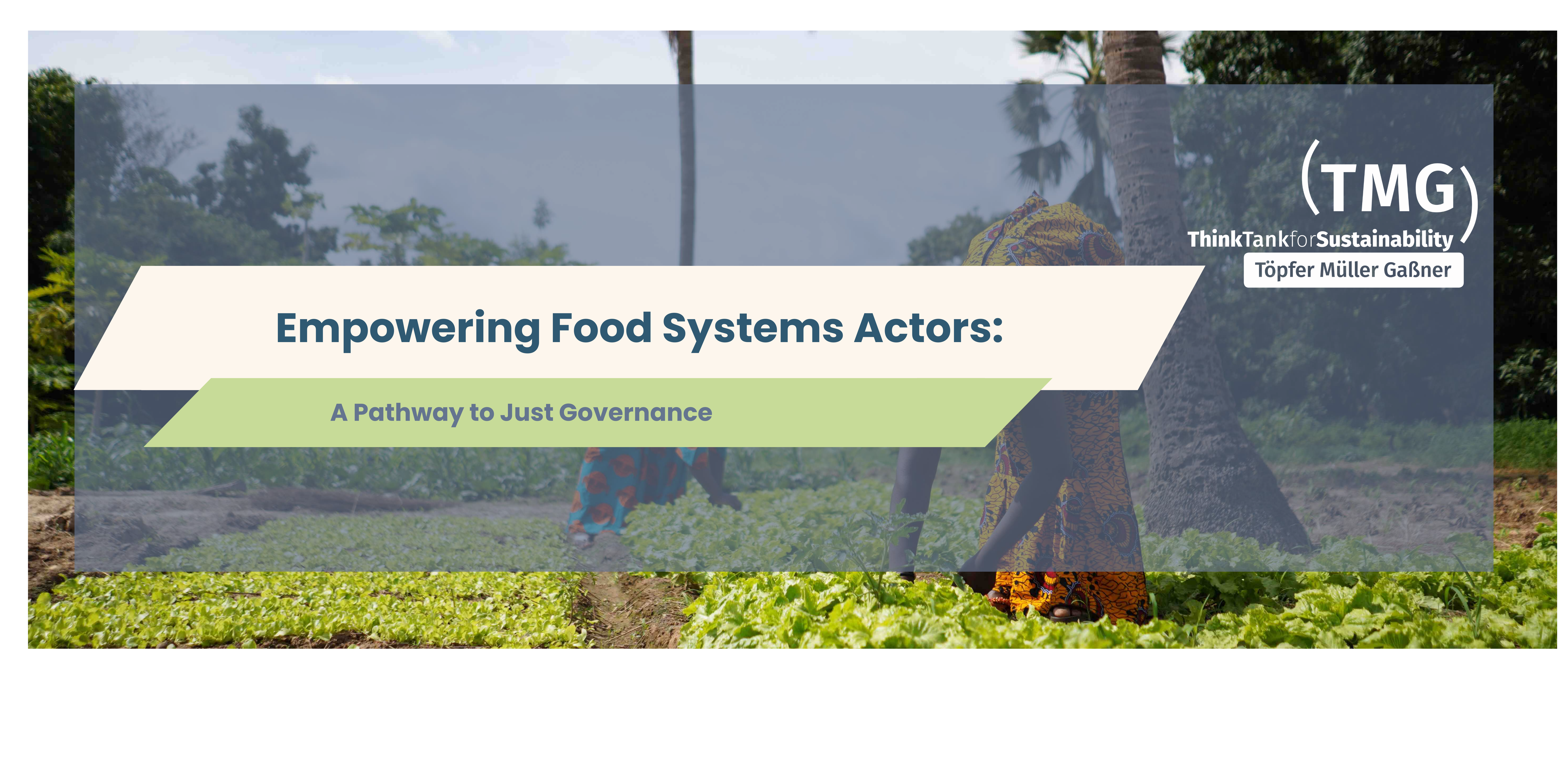 Empowering Food Systems Actors: A Pathway to Just Governance