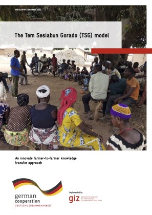 The Tem Sesiabun Gorado (TSG) model