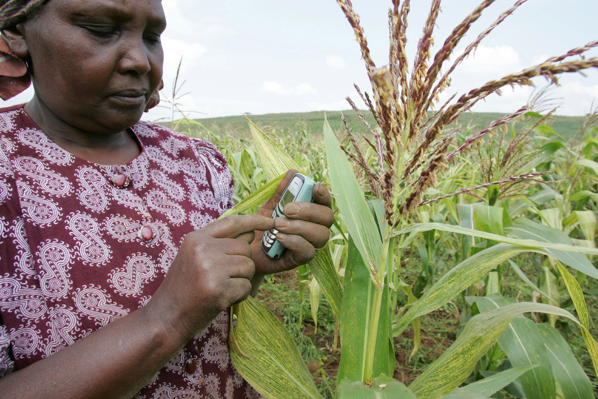 Developing a reporting tool to strengthen women's land rights in Kenya