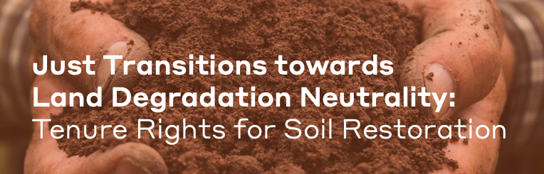 Just Transitions towards Land Degradation Neutrality: Tenure Rights for Soil Restoration