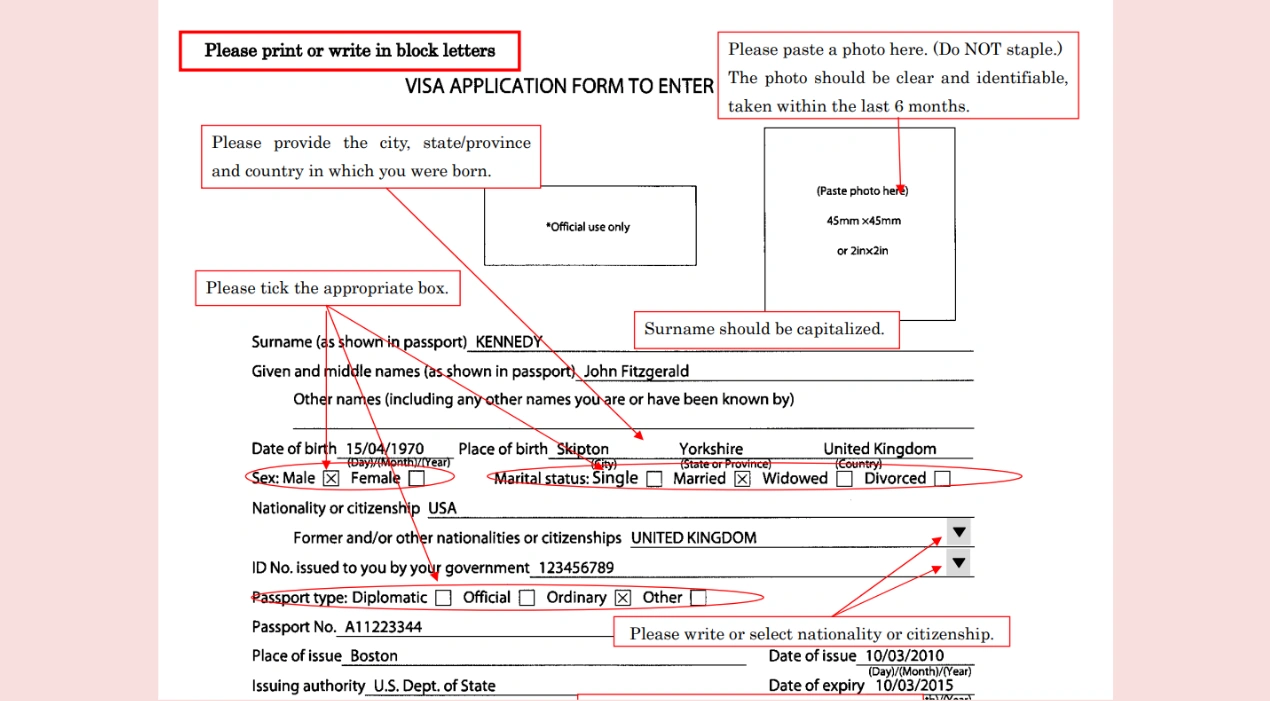 Sample visa application