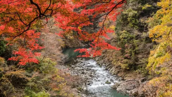 Okutama trailing hike