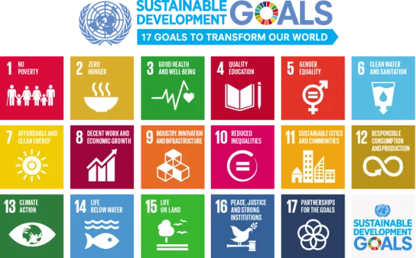 Image: United Nations blog, 17 sustainable development goals