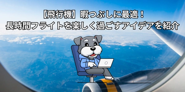 【飛行機】暇つぶしに最適！長時間フライトを楽しく過ごすアイデアを紹介