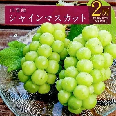 Yamanashi Muscat grapes - Chuo City, Yamanashi Prefecture 1.8kg ¥23,000 / Yamanashi City 1kg ¥13,000