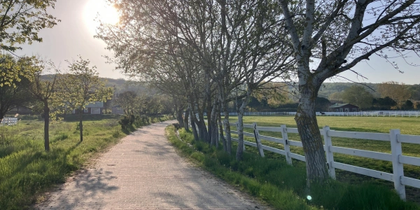 一時帰国の手続きまとめ